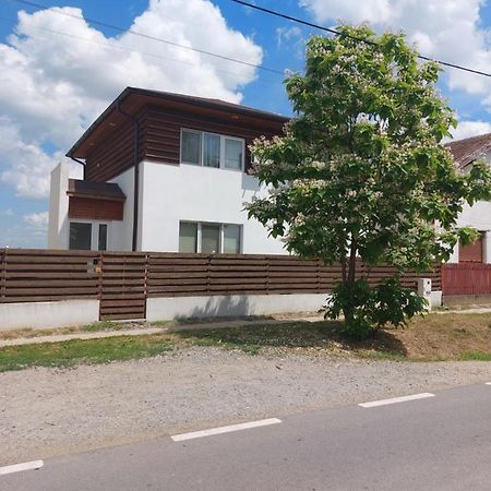 Vila Onix Săcueni Eksteriør billede