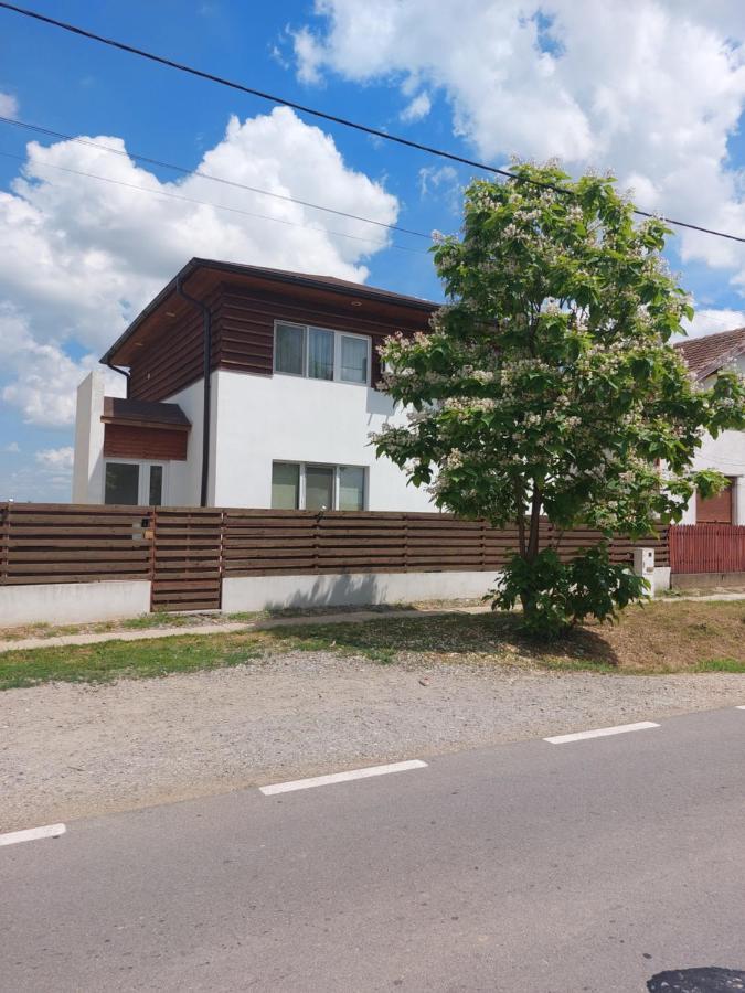 Vila Onix Săcueni Eksteriør billede