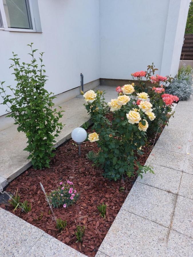 Vila Onix Săcueni Eksteriør billede